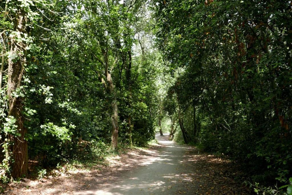 Villa Situee Entre Et Foret Grand-Village-Plage